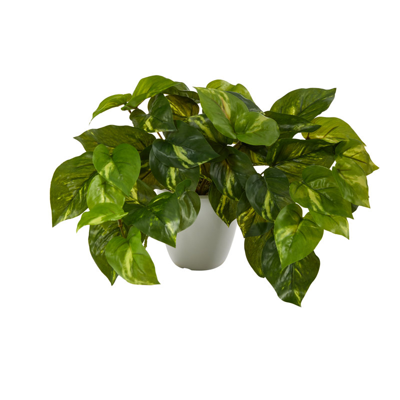 Primrue 9'' Faux Pothos Plant in Planter & Reviews Wayfair